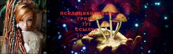 спайс Медногорск