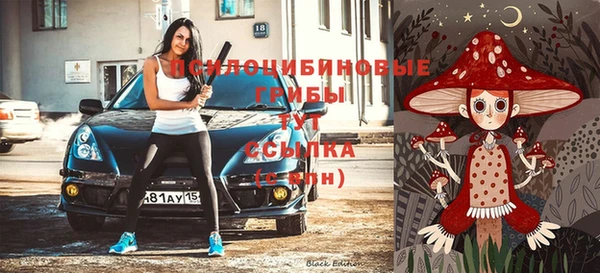 трава Мегион
