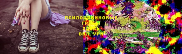 стаф Медвежьегорск