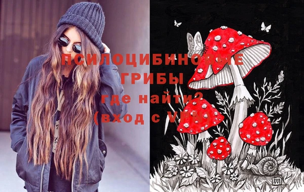 спайс Медногорск