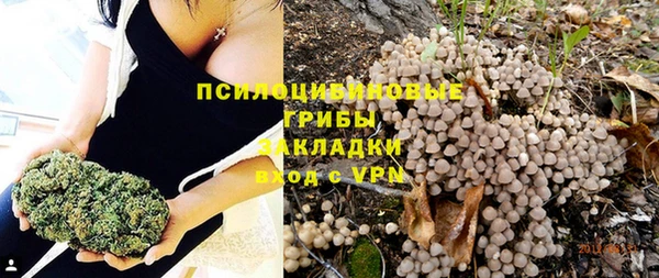 таблы Бердск