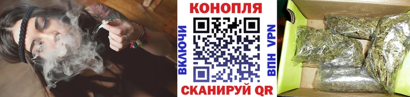 Бошки Шишки VHQ Елизаветинская